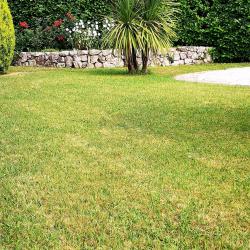 Garden SINE TEMPORE VENCE