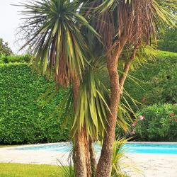 Swimming pool SINE TEMPORE VENCE