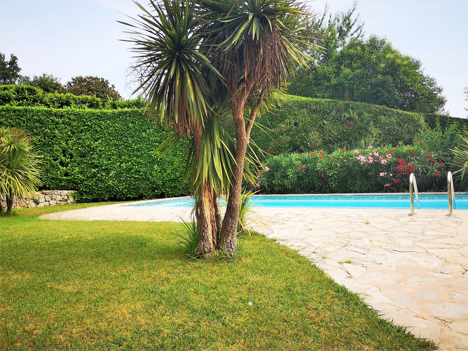 Piscine SINE TEMPORE VENCE