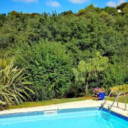 Swimming pool SINE TEMPORE VENCE