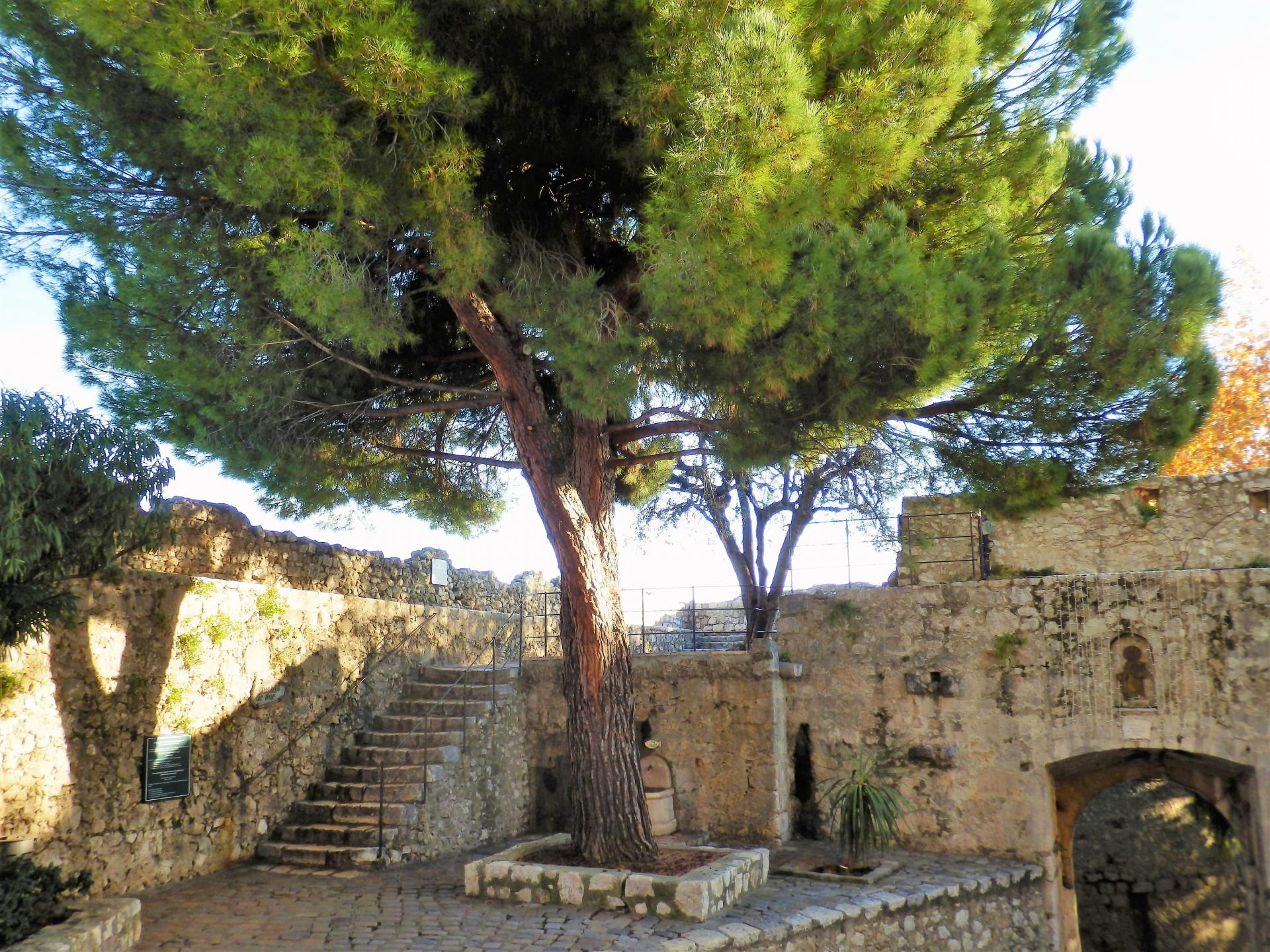 visitez Saint-Paul de Vence au départ de la maison de vacances