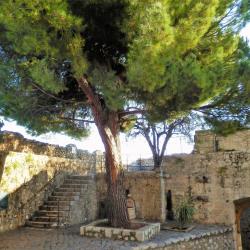 Visit Saint-Paul de Vence from SINE TEMPORE VENCE