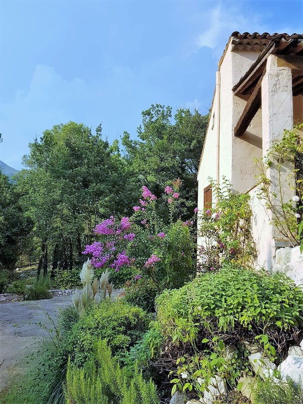 Jardin de la maison de vacances SINE TEMPORE VENCE