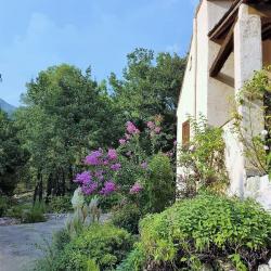 Garden SINE TEMPORE VENCE