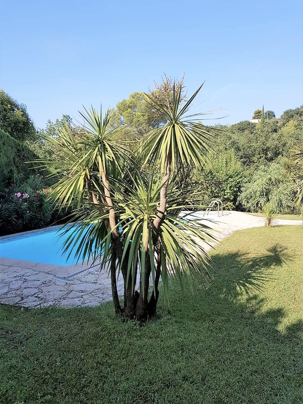 Swimming pool holiday house SINE TEMPORE VENCE