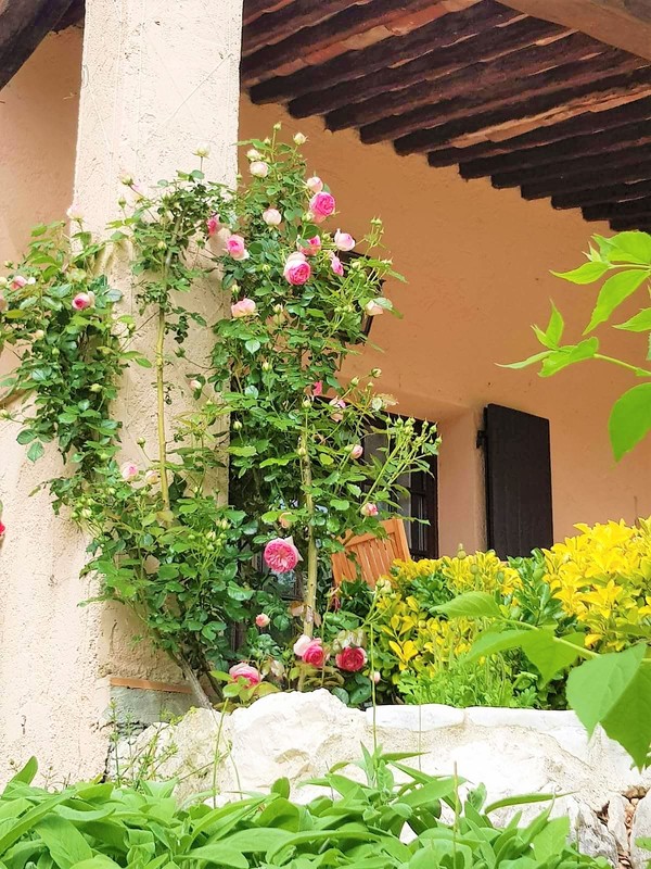 Jardin de la maison de vacances SINE TEMPORE VENCE