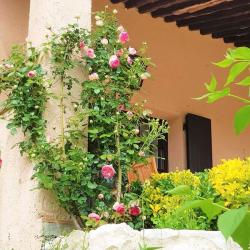 Garden SINE TEMPORE VENCE