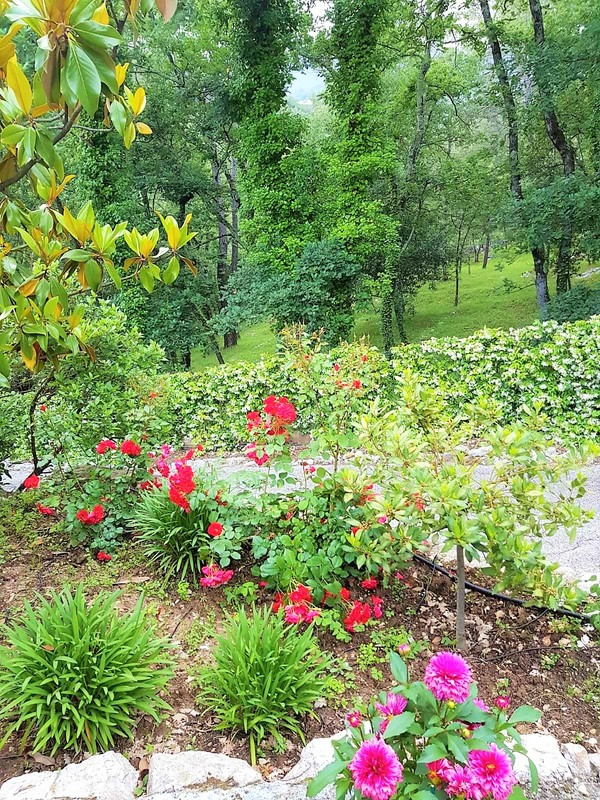 Jardin de la maison de vacances SINE TEMPORE VENCE