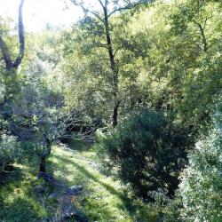 Garden SINE TEMPORE VENCE