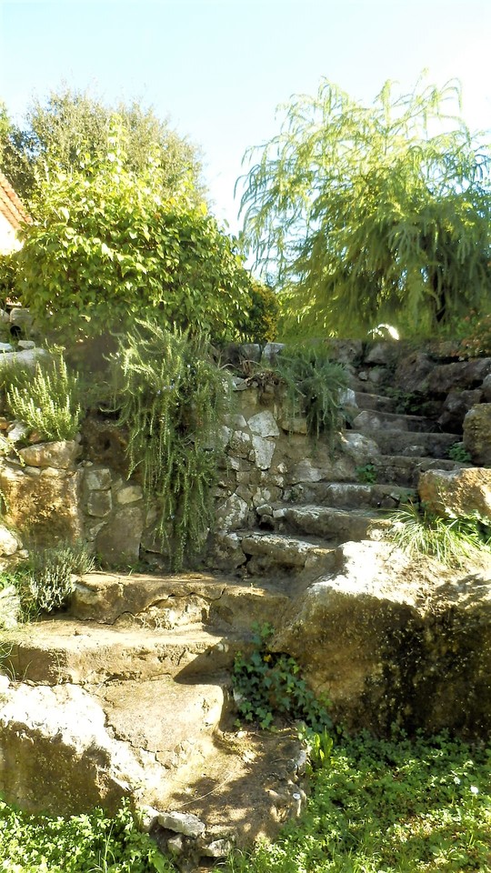 Jardin de la maison de vacances SINE TEMPORE VENCE