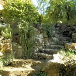 Garden SINE TEMPORE VENCE