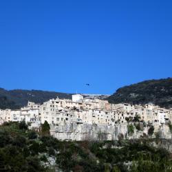Visit Tourrettes-sur-Loup from SINE TEMPORE VENCE