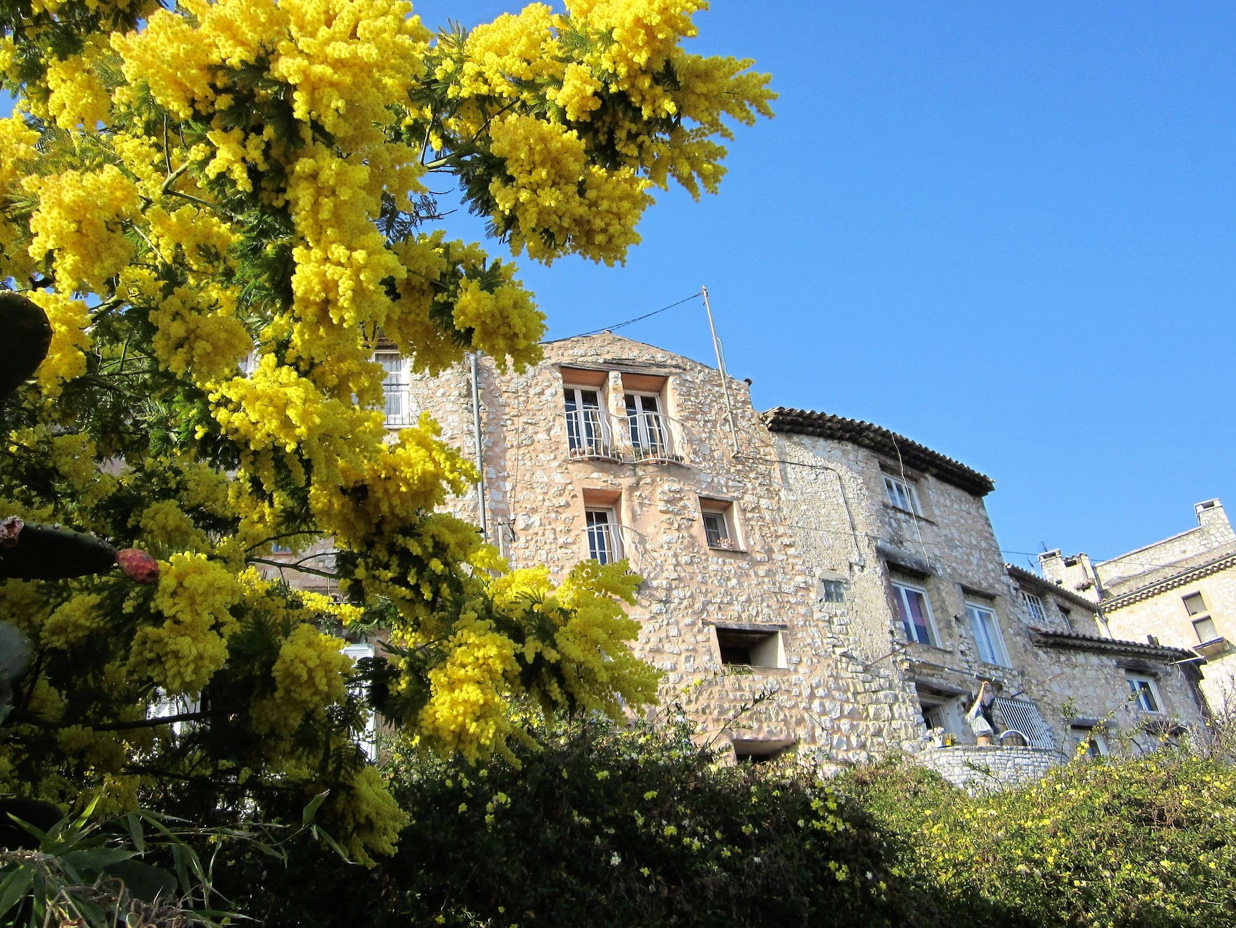 Bezoek Tourrettes-sur-Loup vanuit SINE TEMPORE VENCE