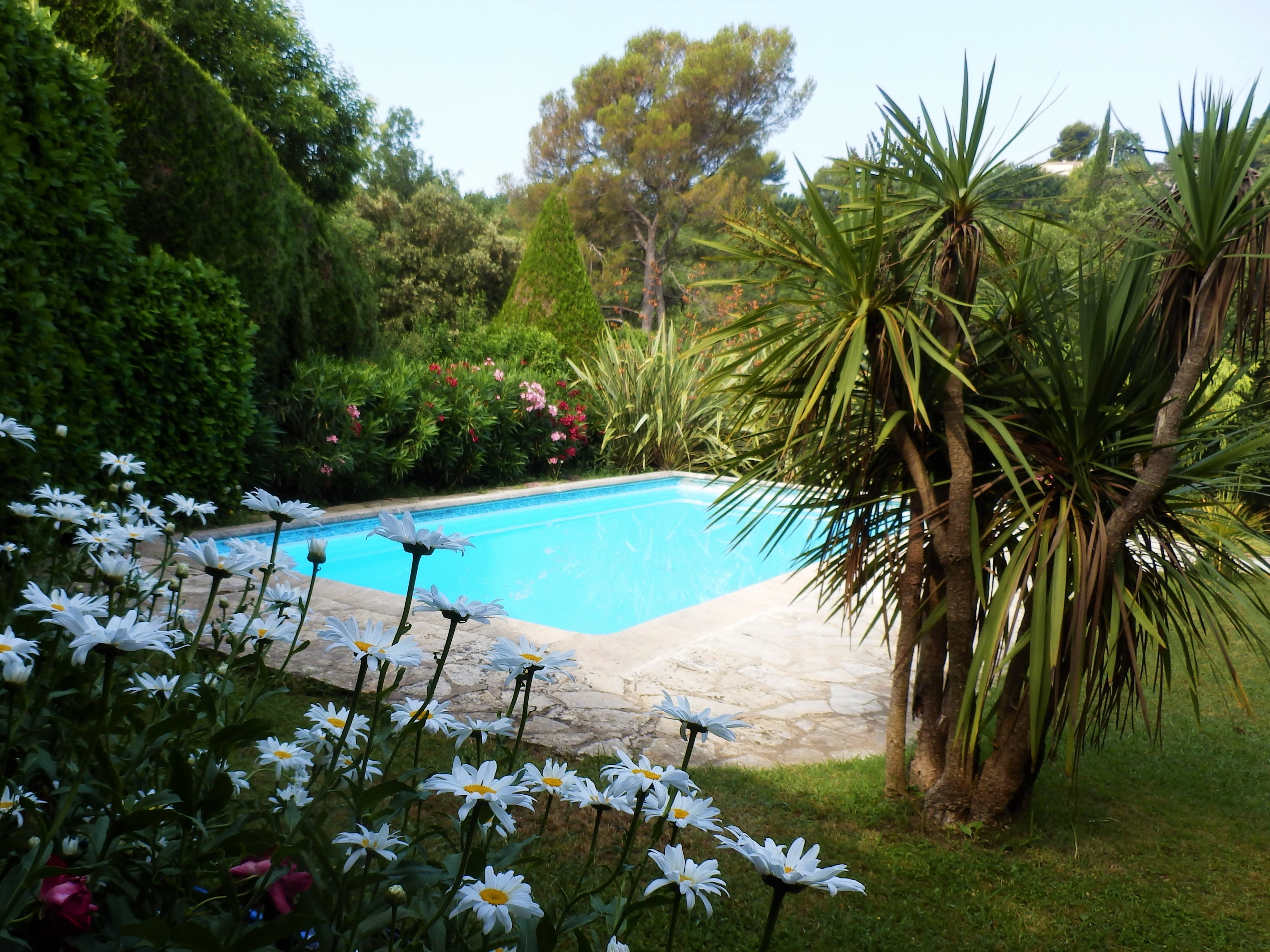 SINE TEMPORE VENCE swimming pool